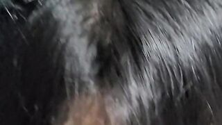 I got home and she was a furry cat